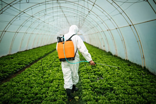 Professional Pest Control in Barstow, CA