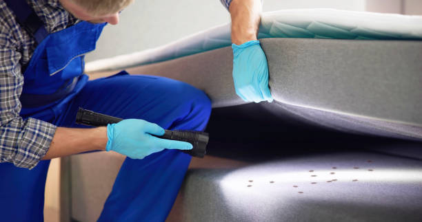 Best Pest Prevention Services  in Barstow, CA
