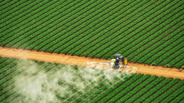 Best Mosquito Control Services  in Barstow, CA