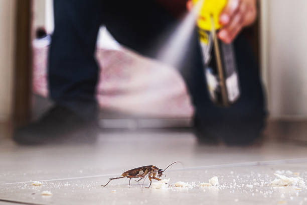 Best Wildlife Control Services  in Barstow, CA