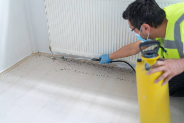 Best Bed Bug Extermination  in Barstow, CA