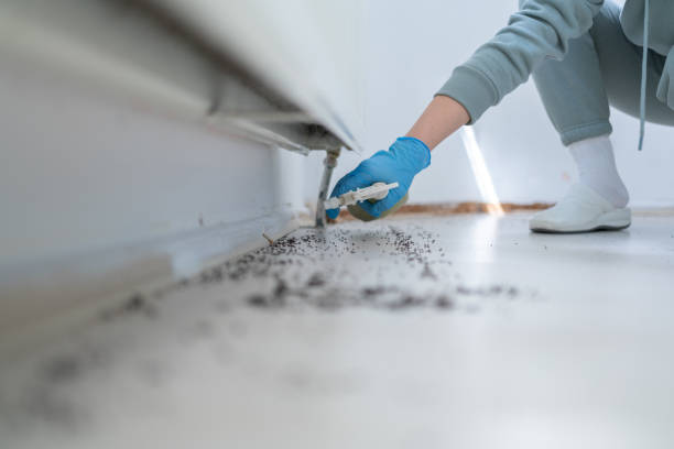 Best Flea Control Services  in Barstow, CA